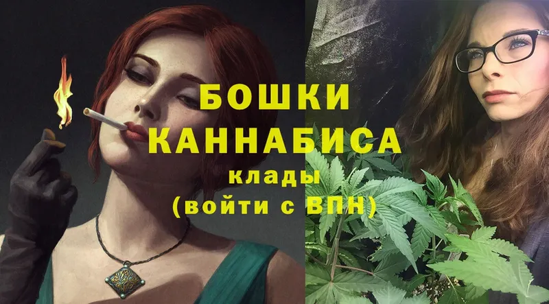 Шишки марихуана SATIVA & INDICA  продажа наркотиков  Касимов 